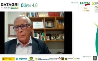 Forum: Olivar 4.0 – 16/11/20